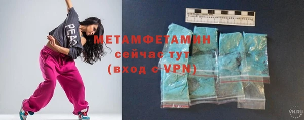 гидра Покачи