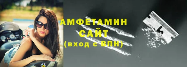 гидра Покачи