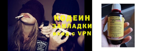 гидра Покачи