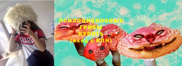гидра Покачи