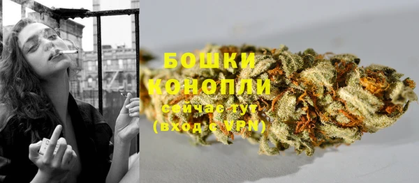 гидра Покачи