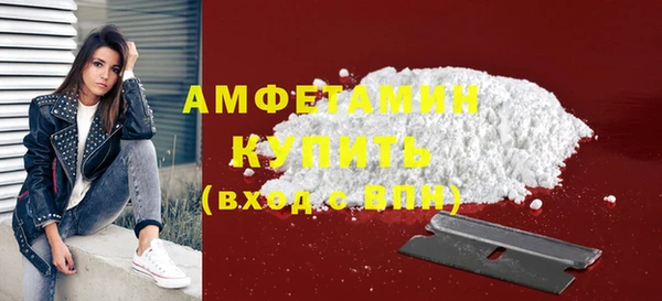 гидра Покачи