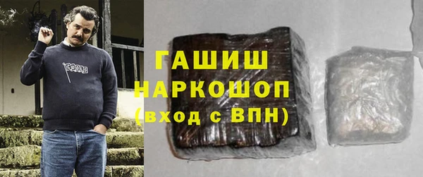 гидра Покачи