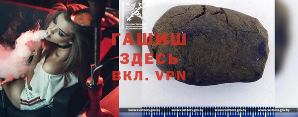 гидра Покачи