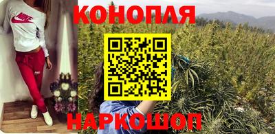 шишки Можга
