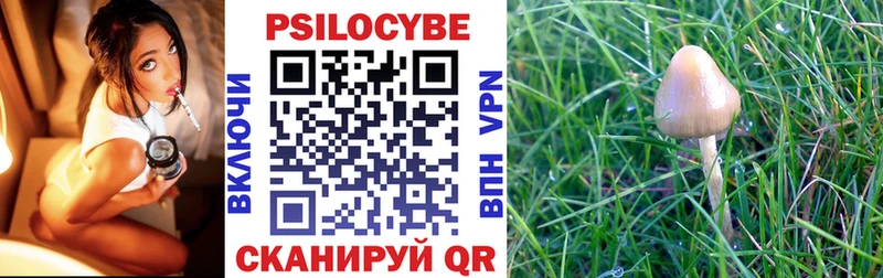 купить  сайты  Сухой Лог  Псилоцибиновые грибы MAGIC MUSHROOMS 