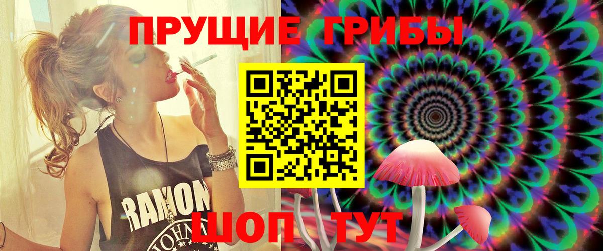 Сухой Лог  Псилоцибиновые грибы MAGIC MUSHROOMS  цена наркотик  Вход с VPN 