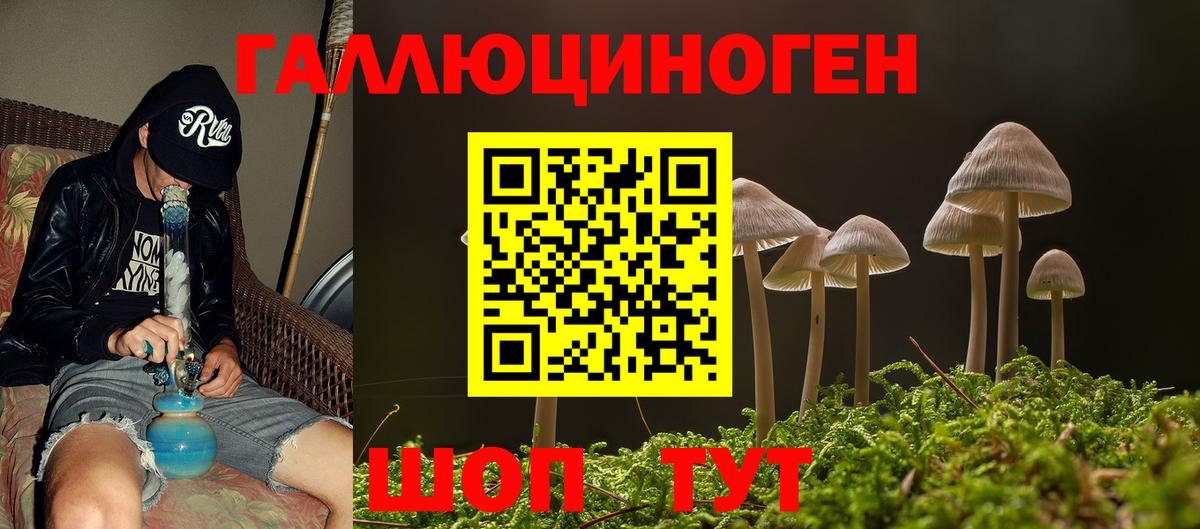 Галлюциногенные грибы Psilocybe Сухой Лог